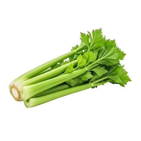 Céleri