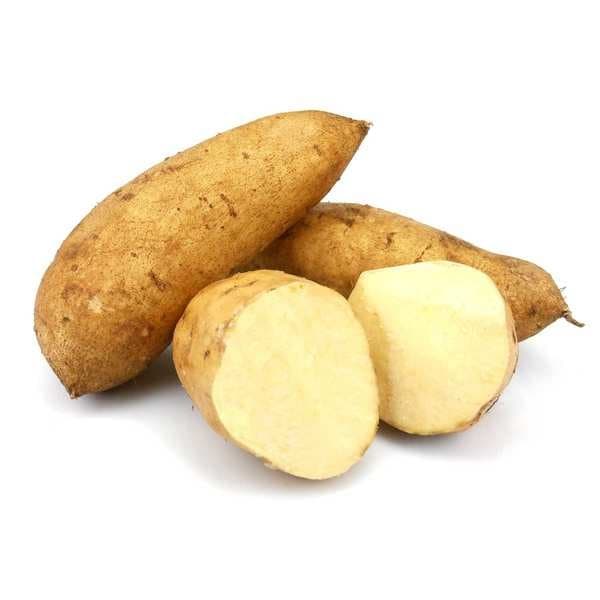 Patate douce Blanc