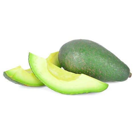 Avocat bio du Cameroun